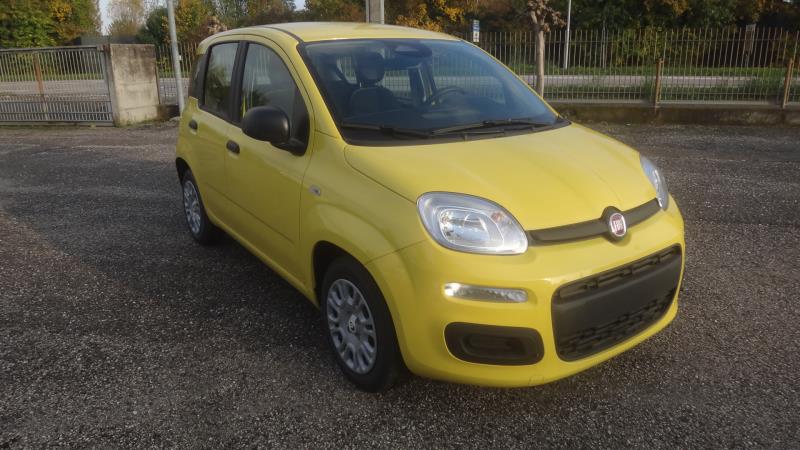 Auto usate Portogruaro